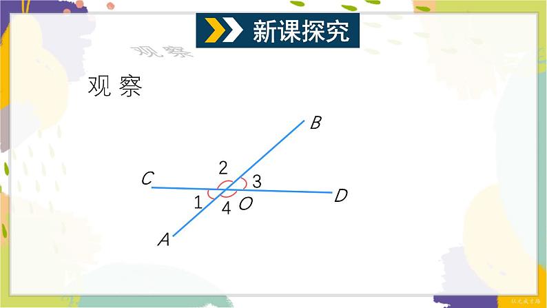 泸科版(2024)数学七年级下册 10.1 第1课时 对顶角及其性质 PPT课件第4页