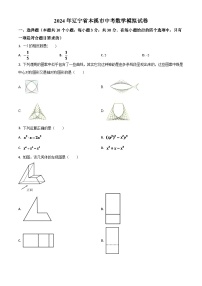 辽宁省本溪市2024年中考数学模拟（原卷版）