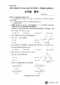 贵州省贵阳市2024-2025学年九年级上学期1月期末考试数学试题