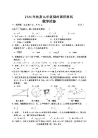 河南省南阳市镇平县2024-2025学年九年级上学期1月期末数学试题