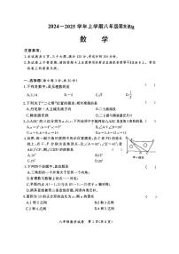 河南省郑州市二七区2024—2025学年八年级上学期期末数学试卷