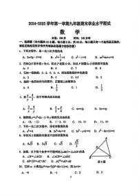 江苏省宿迁市泗阳县2024-2025学年九年级上学期期末数学试题