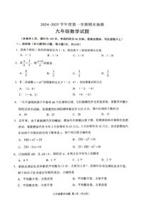 江苏省徐州市2024-2025学年九年级上学期1月期末考试数学试题