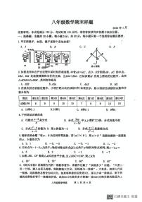 山东省菏泽市定陶区2024-2025学年八年级上学期期末考试数学试题