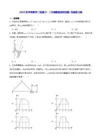 2025年中考数学二轮复习：二次函数的面积问题 压轴练习题（含答案）