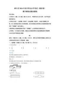 2024年浙江省丽水市中考数学模拟试题(解析版)