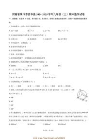 2024～2025学年河南省周口市西华县九年级(上)期末数学试卷(含答案)