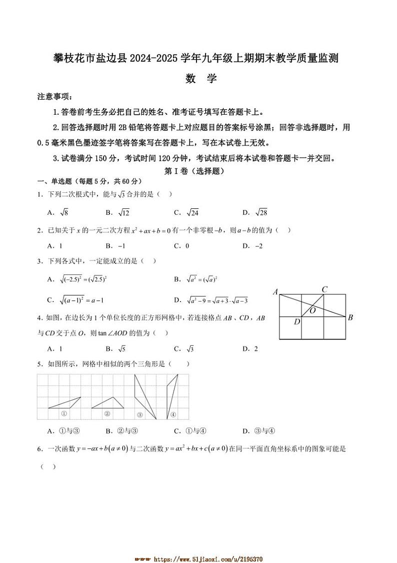 2024~2025学年四川省攀枝花市盐边县九年级上1月期末数学试卷(含答案)第1页
