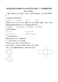 河北省石家庄市辛集市2024-2025学年七年级（上）期末数学试卷