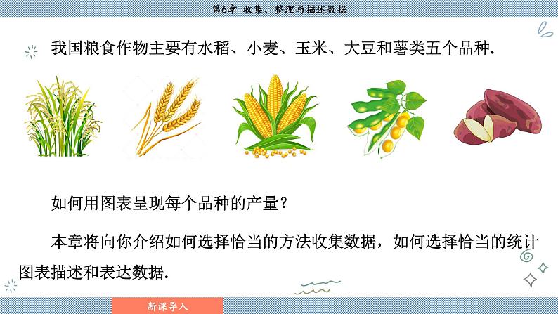 湘教版2024数学七年级下册 6.1 抽样调查 PPT课件第6页