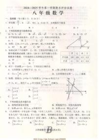 2024～2025学年河南省平顶山市宝丰县八年级上1月期末数学试卷(含答案)