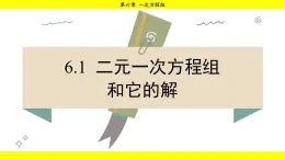 华师大版（2024）数学七年级下册 6.1 二元一次方程组和它的解 （课件）