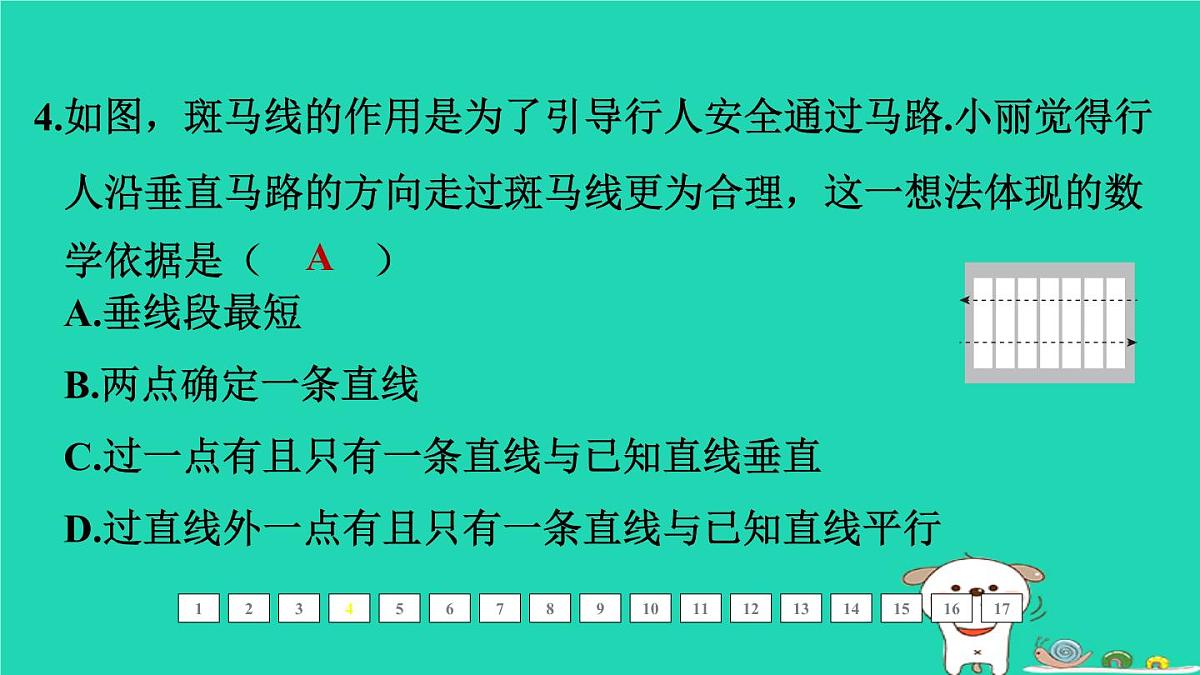 福建省2024中考数学1教材梳理篇第五章三角形第19课时几何的初步认识相交与平行课后练本课件第5页