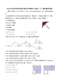 2024-2025学年河北省石家庄市辛集市八年级（上）期末数学试卷（含答案）