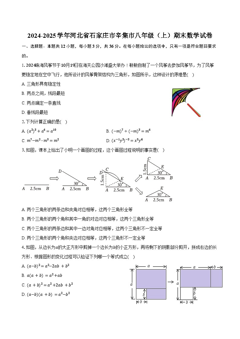 2024-2025学年河北省石家庄市辛集市八年级(上)期末数学试卷(含答案)第1页
