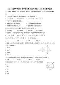 2024-2025学年浙江省宁波市鄞州区九年级（上）期末数学试卷（含答案）