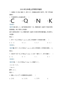 2024~2025学年湖北省宜昌市宜都市九年级上期中数学试卷（解析版）