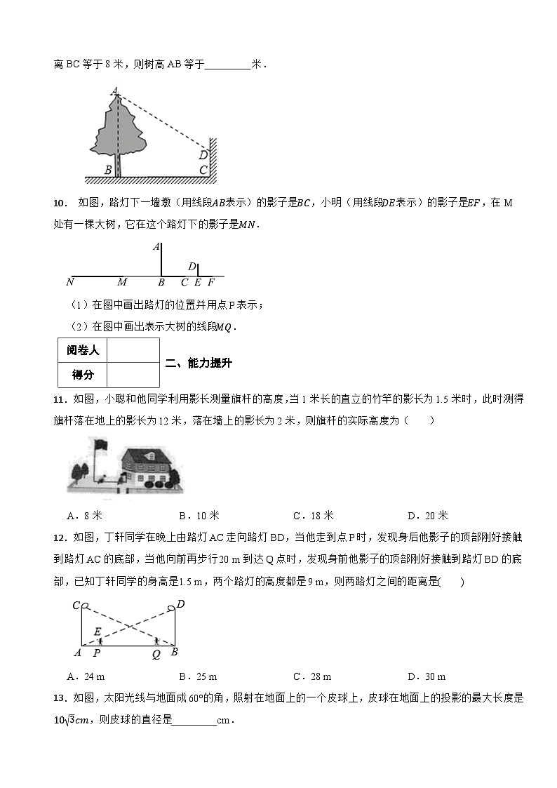3.1投影2024-2025学年浙教版数学九年级下册课堂练第3页