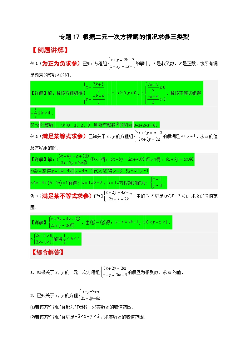 （人教版）数学七年级下册期末考点练习专题17 根据二元一次方程解的情况求参三类型（2份，原卷版+解析版）