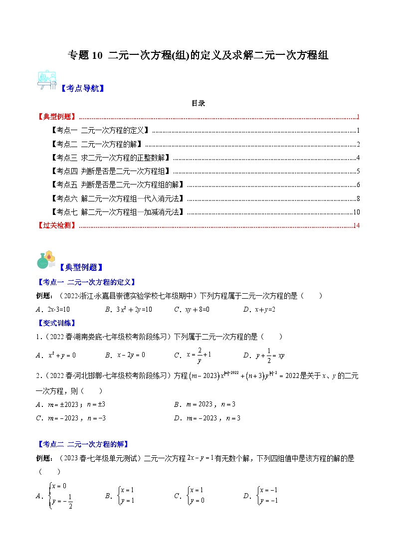 （人教版）数学七年级下册期末培优训练专题10 二元一次方程(组)的定义及求解二元一次方程组（2份，原卷版+解析版）