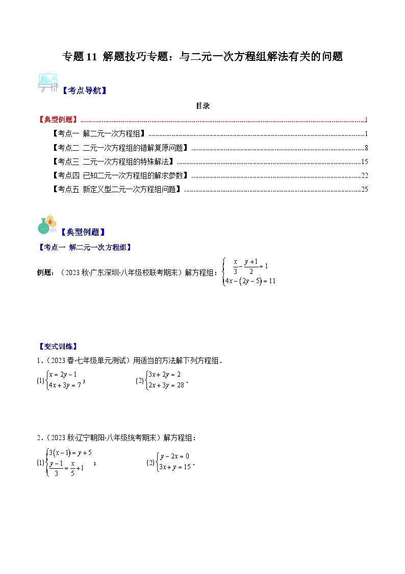 （人教版）数学七年级下册期末培优训练专题11 解题技巧专题：与二元一次方程组解法有关的问题（2份，原卷版+解析版）