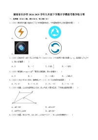 湖南省長沙市2024-2025學(xué)年九年級下學(xué)期開學(xué)適應(yīng)性模擬考 數(shù)學(xué)練習(xí)卷（含解析）