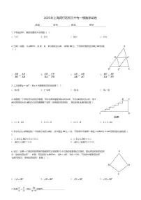 2025年上海闵行区初三中考一模数学试卷(含解析)
