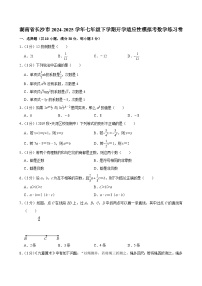 湖南省長沙市2024-2025學(xué)年七年級下學(xué)期開學(xué)適應(yīng)性模擬考 數(shù)學(xué)試卷（含解析）