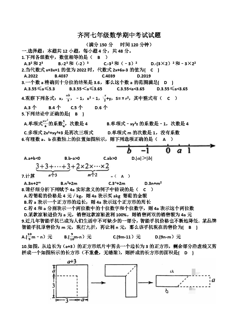 山东省德州市齐河县2024-2025学年七年级上学期期中考试数学试卷(含答案)