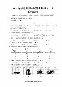 浙江省金华市东阳市2024-2025学年七年级上学期1月期末数学试题
