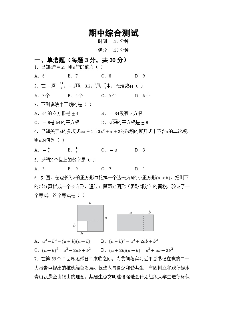 期中综合测试 （试卷） -2024-2025学年湘教版七年级数学下册