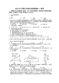 湖南省长沙市南雅中学2024-2025学年九年级下学期入学考试数学试卷