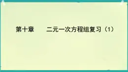 第十章  二元一次方程组复习（1）课件人教版2024七年级数学下册