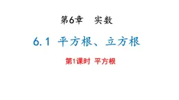 6.1 平方根、立方根 第1课时  课件   2024--2025学年沪科版七年级数学下册