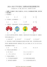 2024~2025学年广东省茂名市茂南区学校九年级上期末考试数学试卷(含pdf答案)