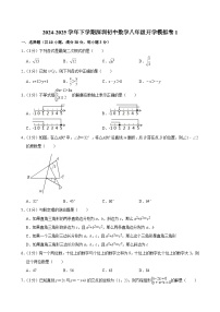 广东省深圳市2024-2025学年下学期八年级 数学开学模拟试卷(含解析)