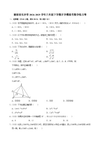 湖南省長沙市2024-2025學(xué)年八年級下學(xué)期開學(xué)適應(yīng)性模擬考 數(shù)學(xué)練習(xí)卷（含解析）