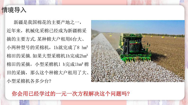 10.1 二元一次方程组的概念 课件 -人教版(2024)数学七年级下册第4页