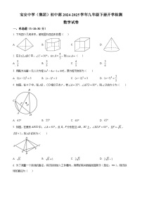 广东省深圳市宝安中学（集团）初中部2024-2025学年下学期九年级开学考 数学试卷