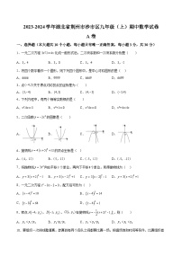 湖北省荆州市沙市区2024届九年级上学期期中考试数学试卷(含答案)