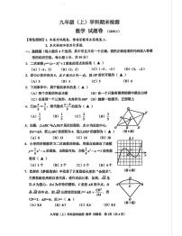 浙江省嘉兴市 2024-2025学年九年级数学上学期期末试卷（含答案）