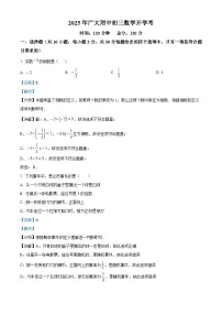 广东省广州市广州大学附属中学2024-2025学年下学期九年级 数学开学考试试卷（含解析）