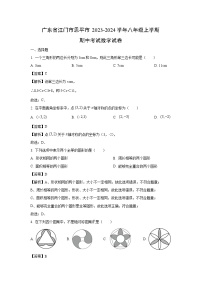 广东省江门市恩平市2023-2024学年八年级(上)期中考试数学试卷（解析版）