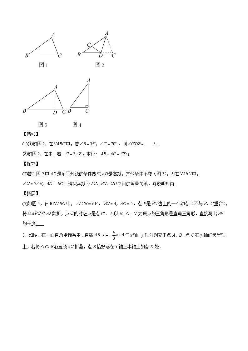 中考数学难点突破与经典模型精讲练(全国通用)专题51图形折叠中的直角三角形存在性问题(原卷版+解析)第2页