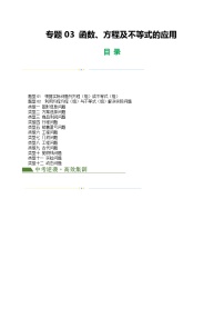 中考数学二轮复习讲练测(全国通用)专题03函数、方程及不等式的应用(原卷版+解析)