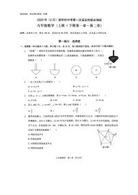 2025年广东省深圳市31校中考一模数学试题+答案