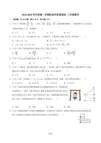 山东省青岛市海信学校2024-2025学年八年级上学期11月期中考试数学试题