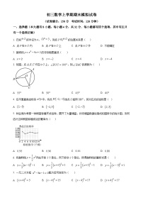 九年级上学期期末数学试题 (15)