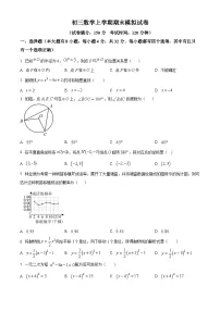 九年级上学期期末数学试题 (15)