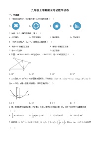 九年级上学期期末数学试题 (118)